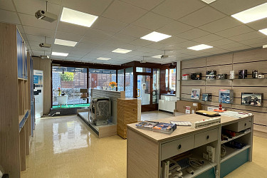 Laden-Büro-Lager-Werkstatt und ehemaliges Wohnhaus