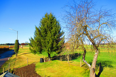 Wohnhaus mit Garten Utzstetten